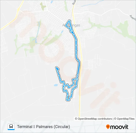 002 PALMARES Bus Line Map