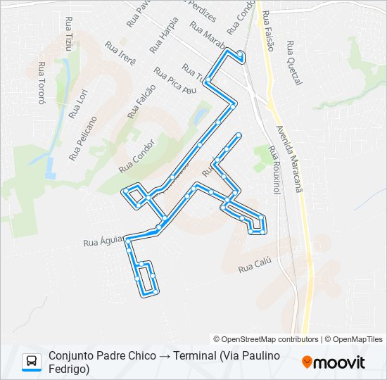 Mapa da linha 003 PADRE CHICO de ônibus
