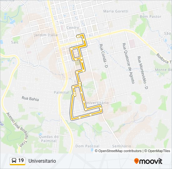 19 bus Line Map