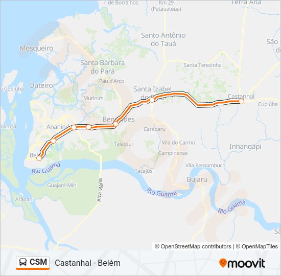 CSM Bus Line Map