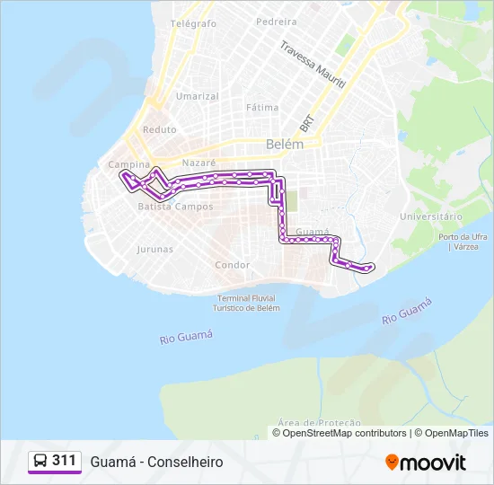 311 Bus Line Map