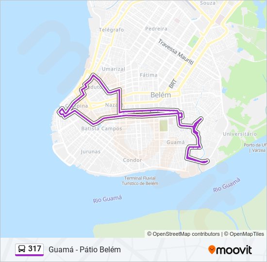 Mapa da linha 317 de ônibus