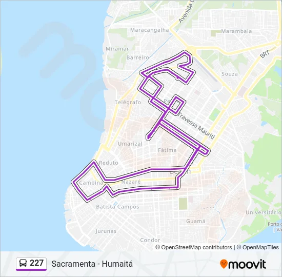 227 Bus Line Map