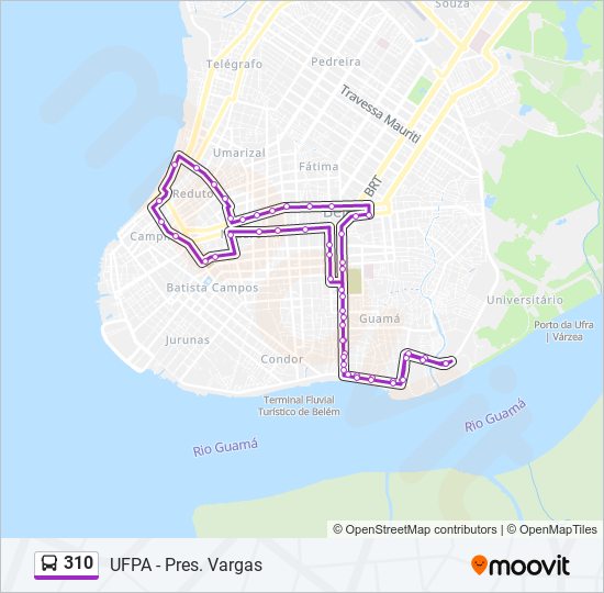 Mapa da linha 310 de ônibus