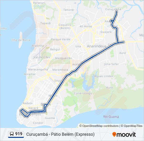 919 Bus Line Map