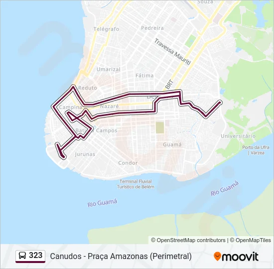 323 Bus Line Map