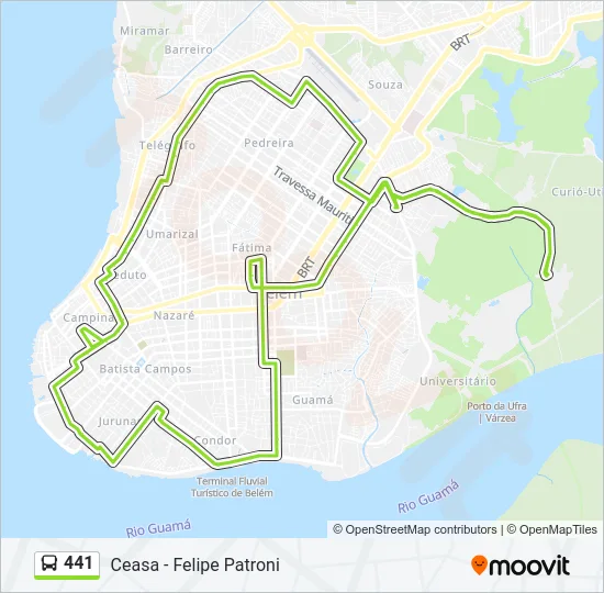 441 Bus Line Map