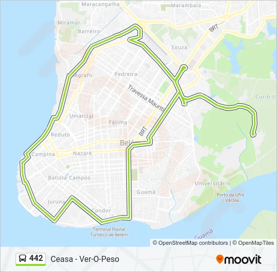 442 Bus Line Map