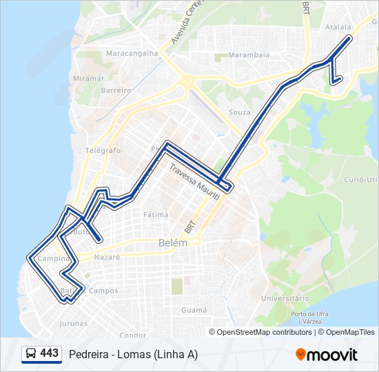 443 bus Line Map