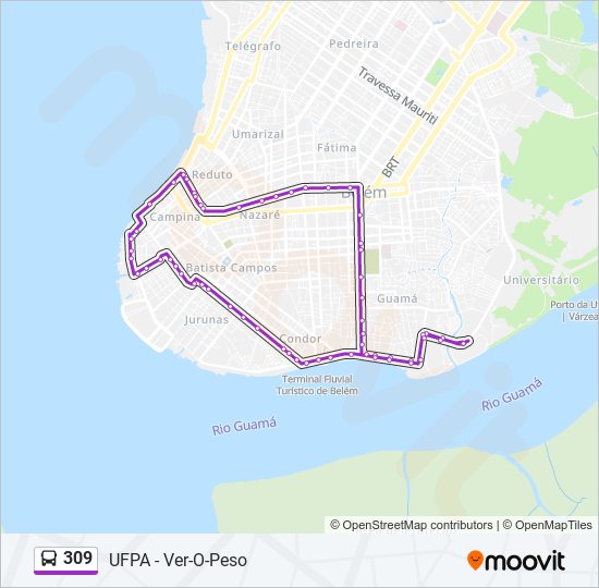 Mapa da linha 309 de ônibus