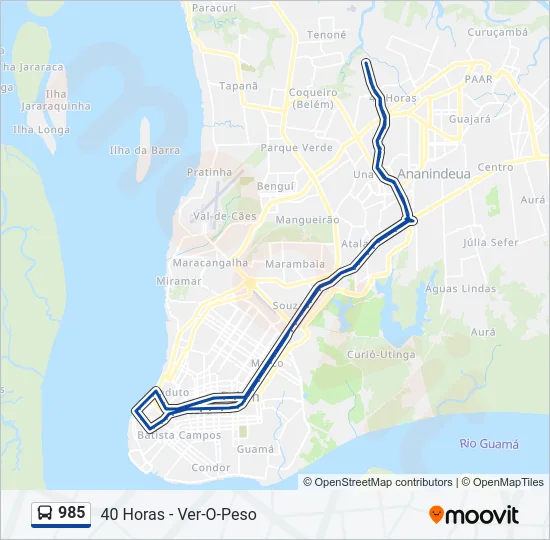 985 Bus Line Map