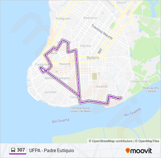 Mapa da linha 307 de ônibus