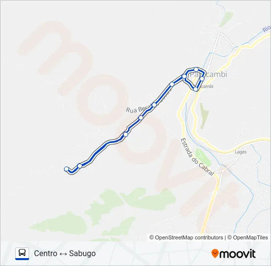 05 Bus Line Map
