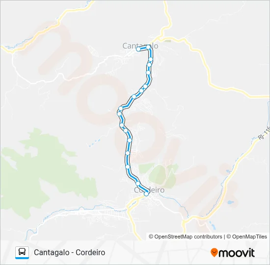 S100 Bus Line Map