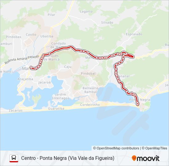 E01A Bus Line Map