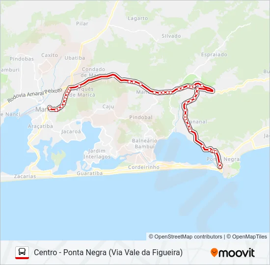 E01A Bus Line Map