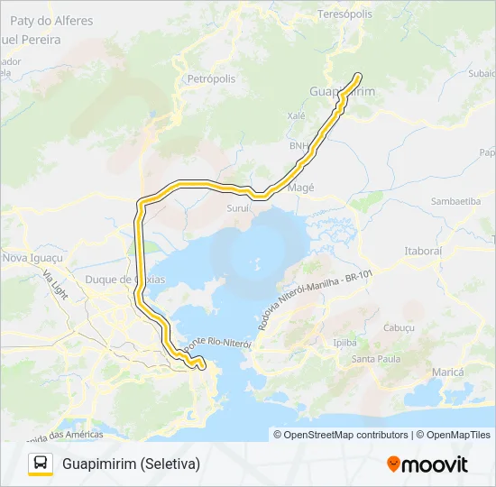 196C Bus Line Map