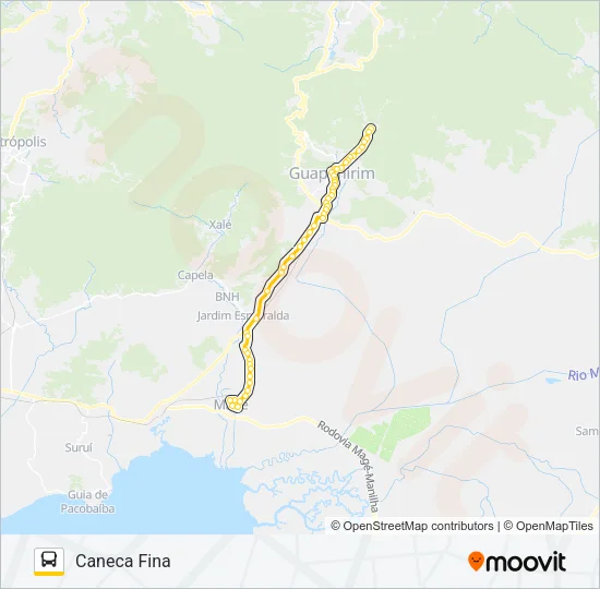800I Bus Line Map