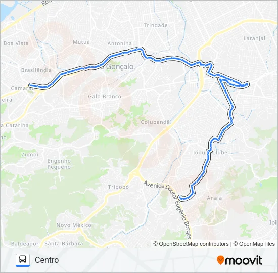 15 Bus Line Map