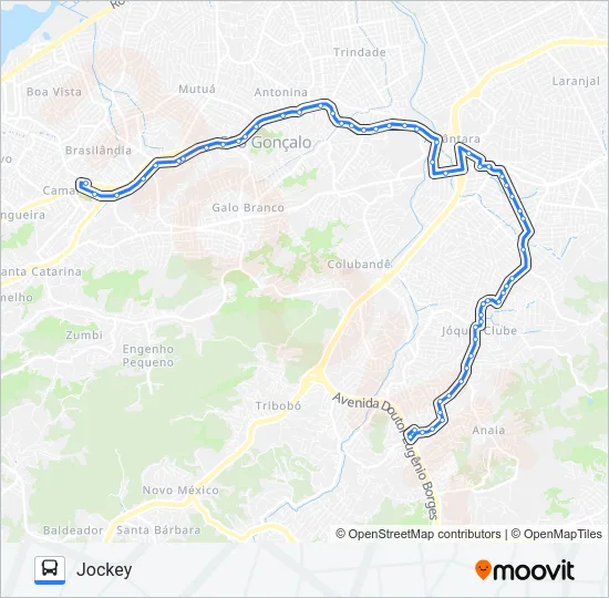 15 Bus Line Map