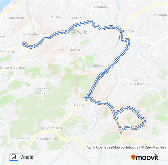 50 Bus Line Map