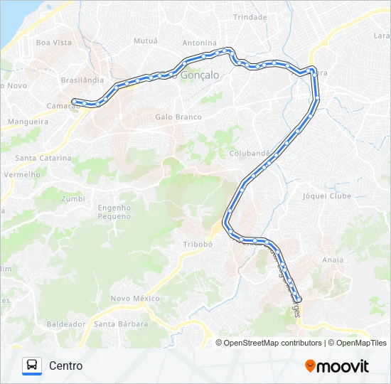 50 Bus Line Map
