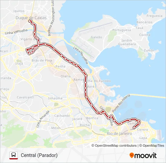 1111C (EXECUTIVO) Bus Line Map