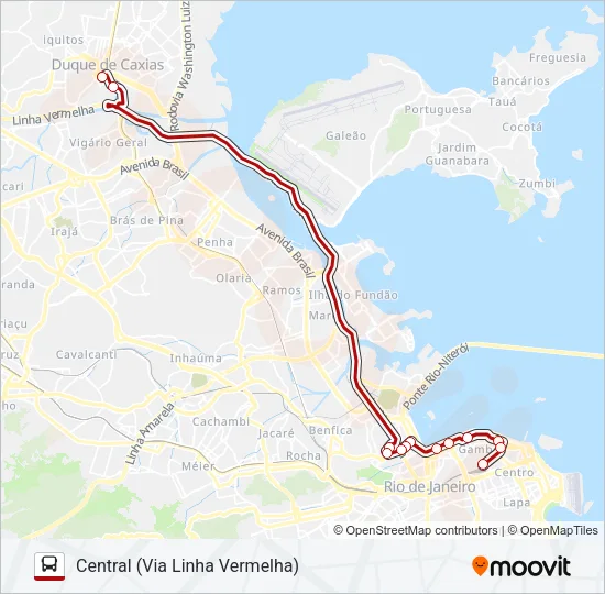 1111C (EXECUTIVO) Bus Line Map