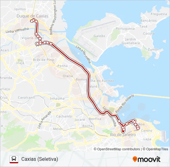 1111C (EXECUTIVO) Bus Line Map