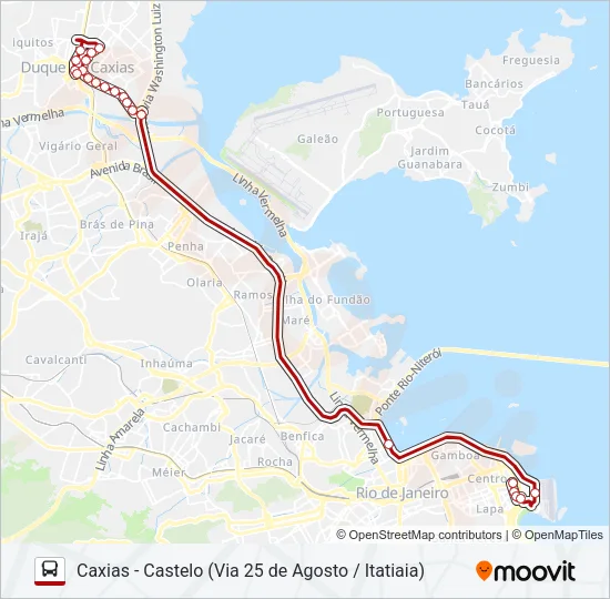 2951C (EXECUTIVO) Bus Line Map