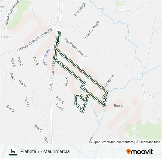 1019 Bus Line Map