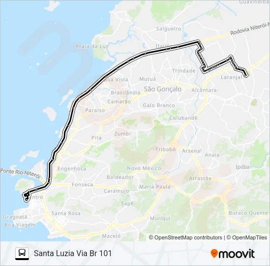 491M Bus Line Map