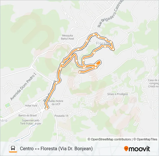 302 Bus Line Map