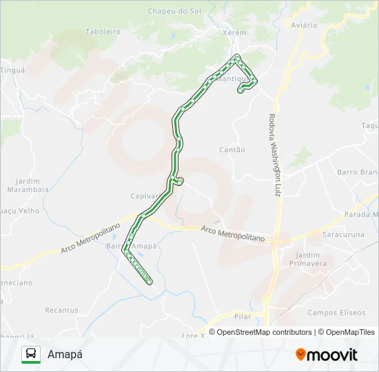 31 Bus Line Map