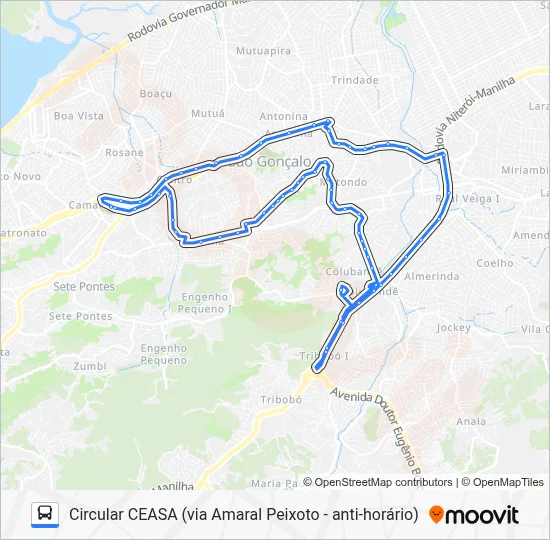 10 Bus Line Map