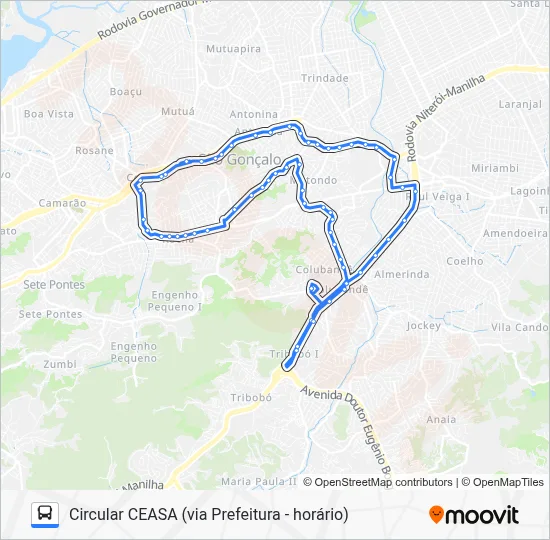 10 Bus Line Map
