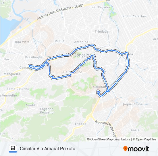 10 bus Line Map