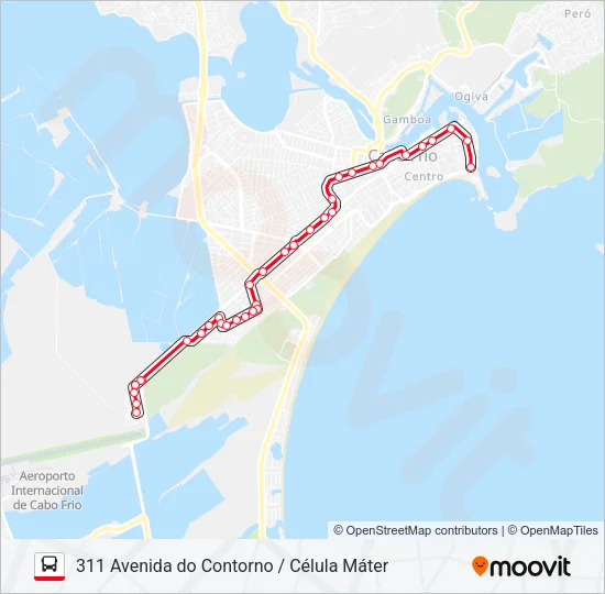 311 AVENIDA DO CONTORNO / CÉLULA MÁTER Bus Line Map
