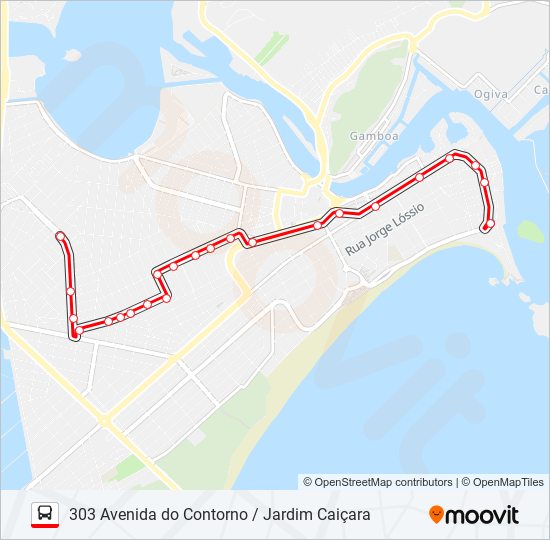 303 AVENIDA DO CONTORNO / JARDIM CAIÇARA bus Line Map