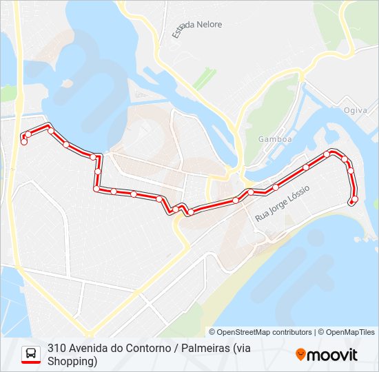 Mapa de 310 AVENIDA DO CONTORNO / PALMEIRAS (VIA SHOPPING) de autobús