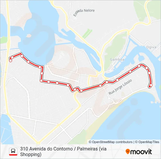 310 AVENIDA DO CONTORNO / PALMEIRAS (VIA SHOPPING) Bus Line Map