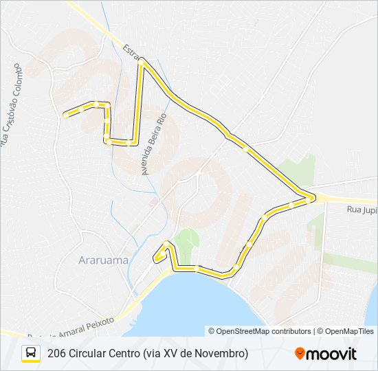 Mapa da linha 206 CIRCULAR CENTRO (VIA XV DE NOVEMBRO) de ônibus