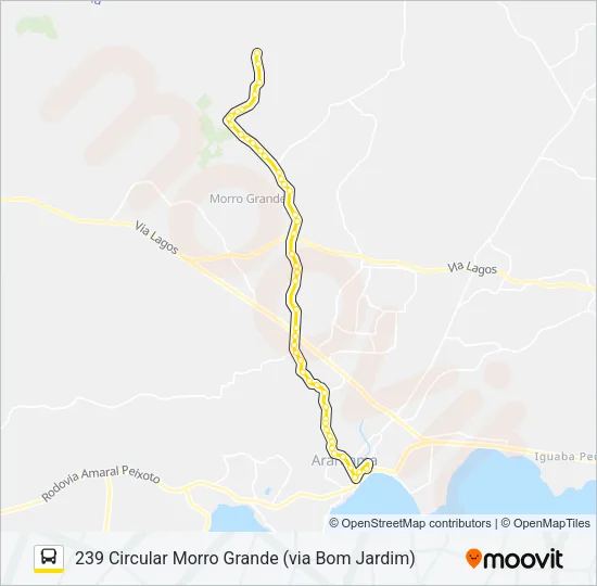 239 CIRCULAR MORRO GRANDE (VIA BOM JARDIM) Bus Line Map