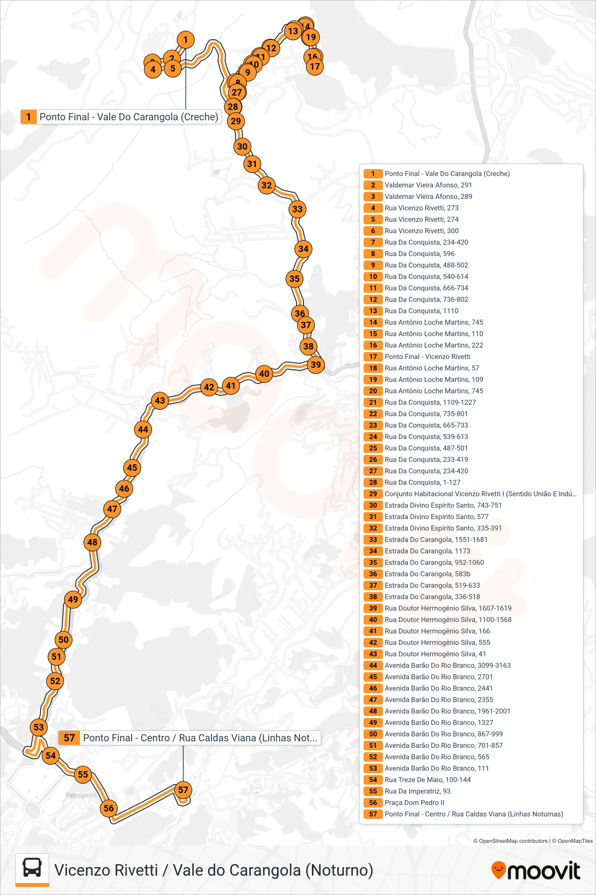 598 bus Line (Centro (Via Vicenzo Rivetti)) route and stops on a map