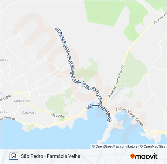 516 Bus Line Map