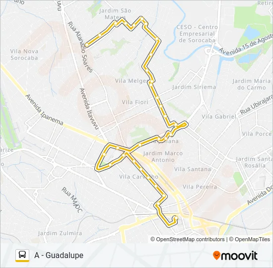 24 GUADALUPE Bus Line Map