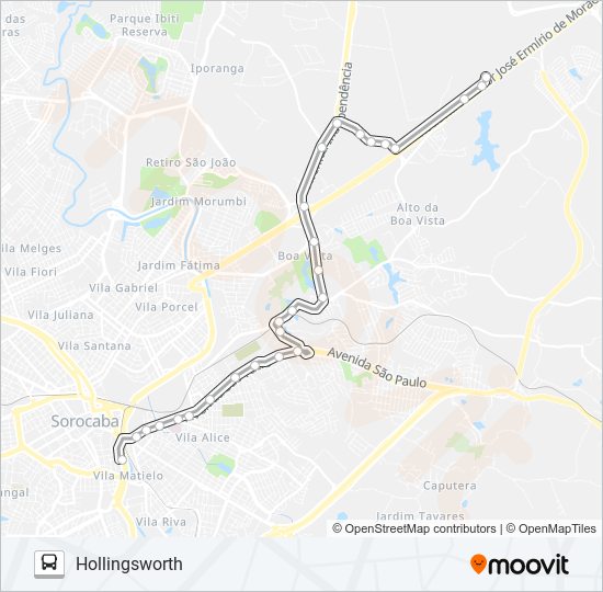 29 HOLLINGSWORTH bus Line Map