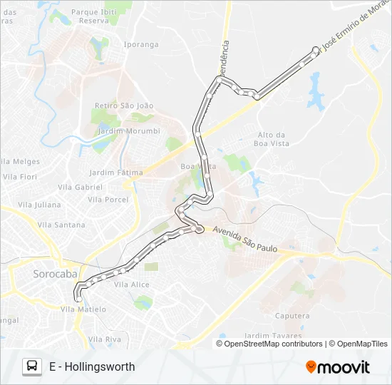 29 HOLLINGSWORTH Bus Line Map