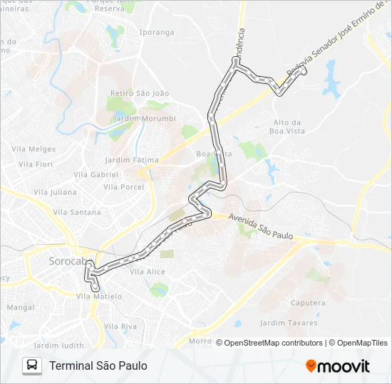 29 HOLLINGSWORTH Bus Line Map