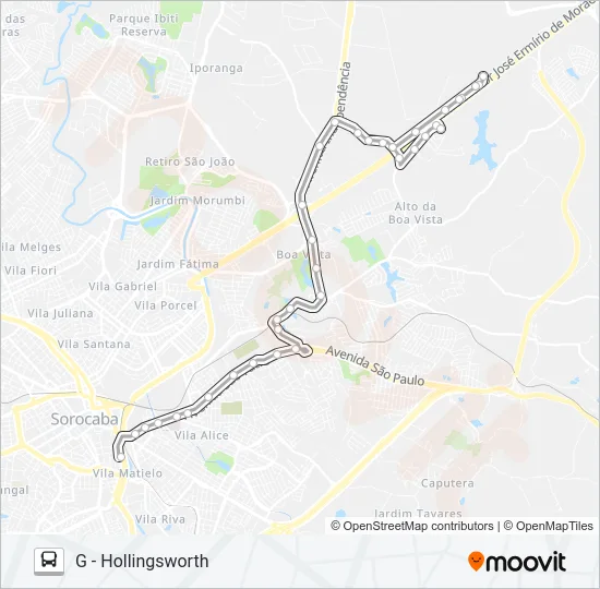 29 HOLLINGSWORTH Bus Line Map